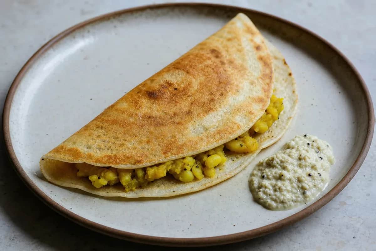Crispy masala dosa filled with spiced potato, served with coconut chutney and garnished with coriander.